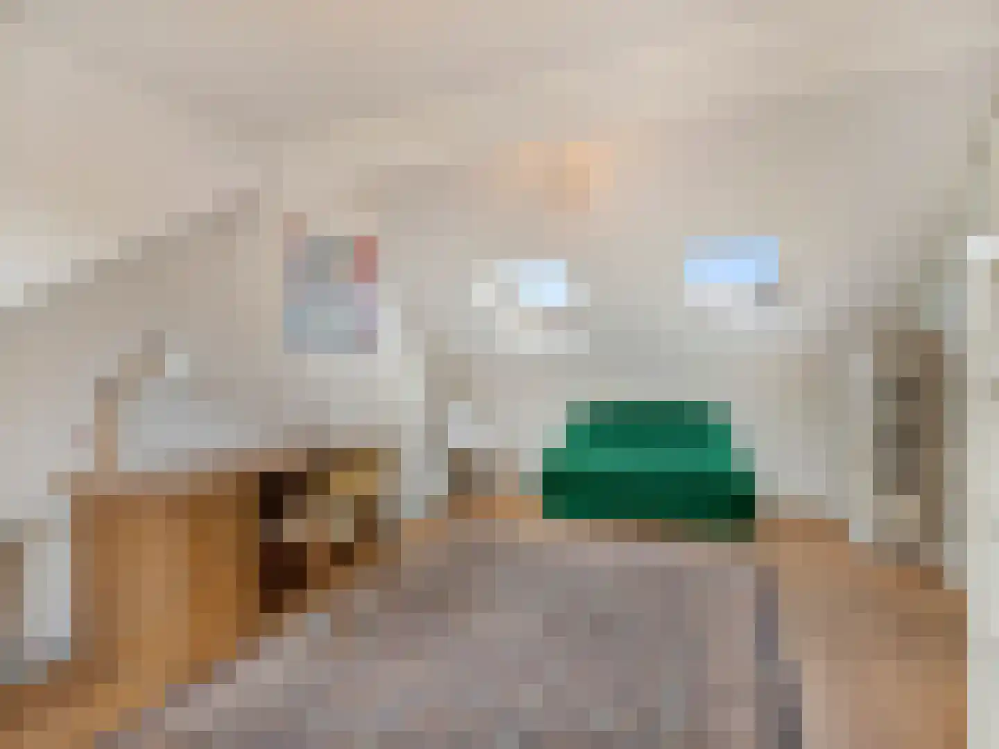 Noltheniusstraat 23 Utrecht thumbnail 39