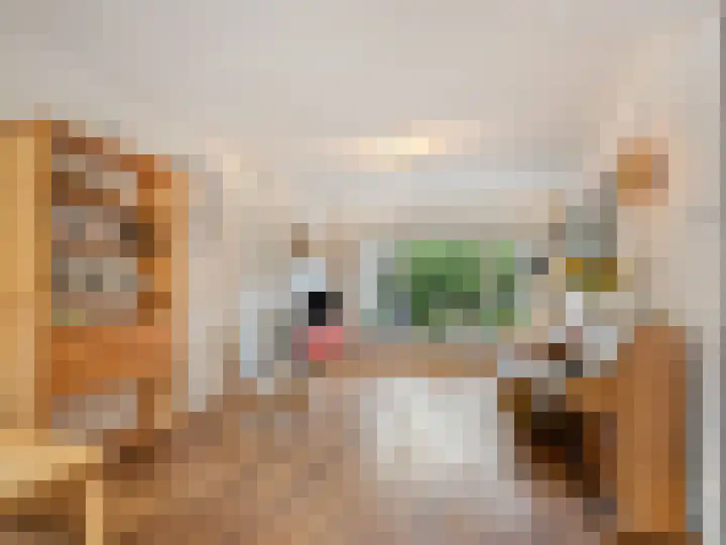 Noltheniusstraat 23 Utrecht thumbnail 4