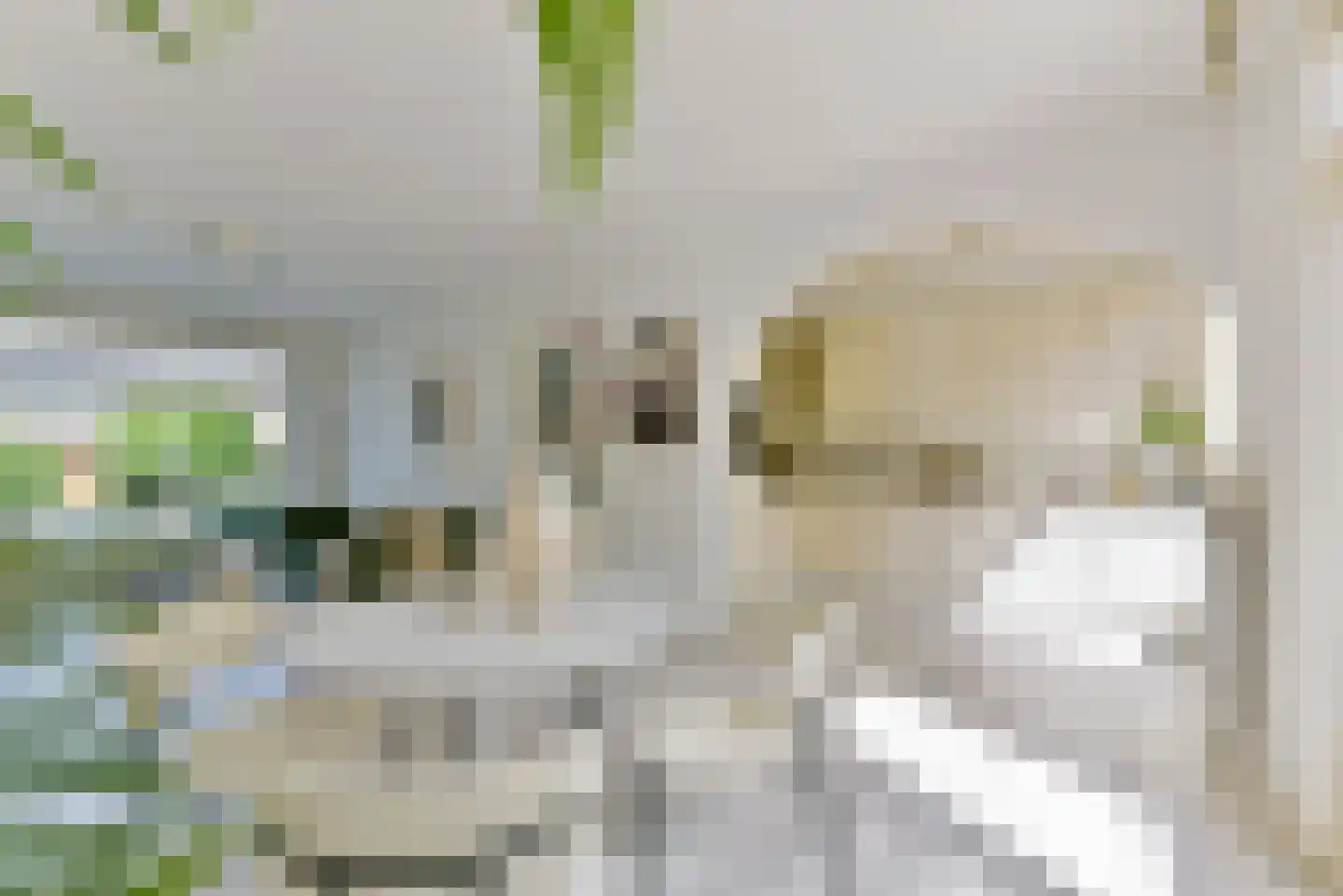 Noltheniusstraat 27 Utrecht thumbnail 14