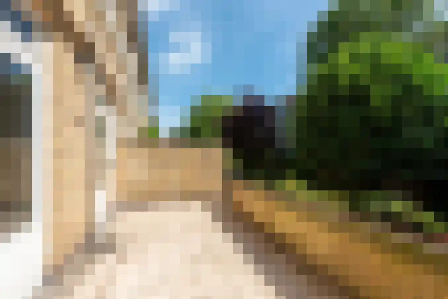 Noltheniusstraat 27 Utrecht thumbnail 23
