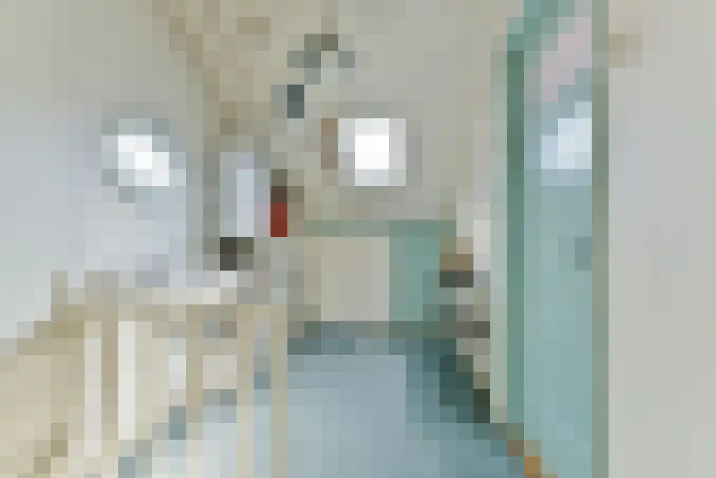 Noltheniusstraat 27 Utrecht thumbnail 38