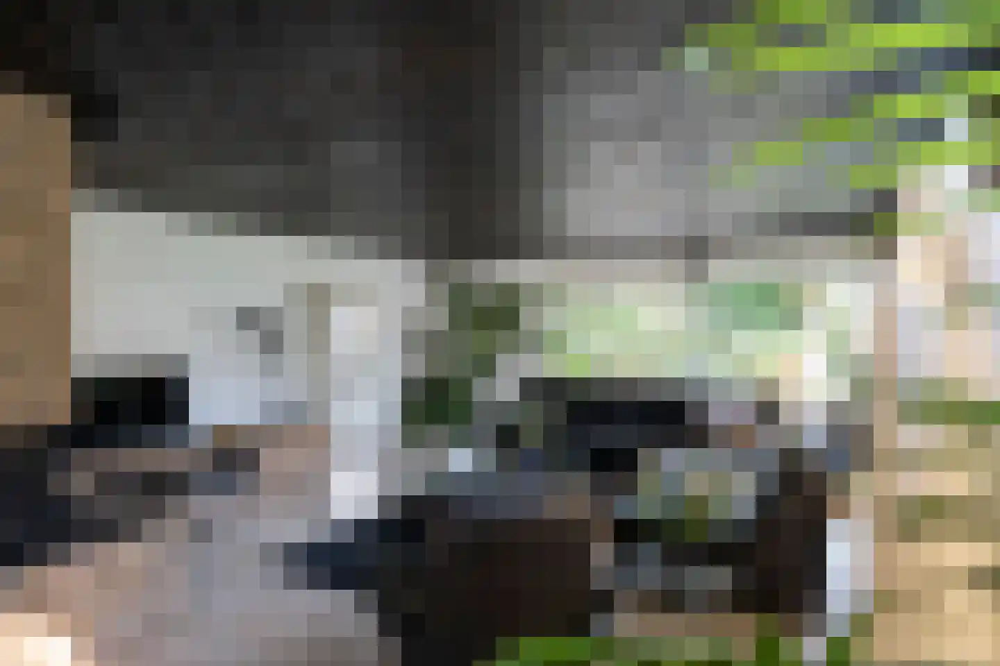 Nolweg 13 C Schelluinen thumbnail 11