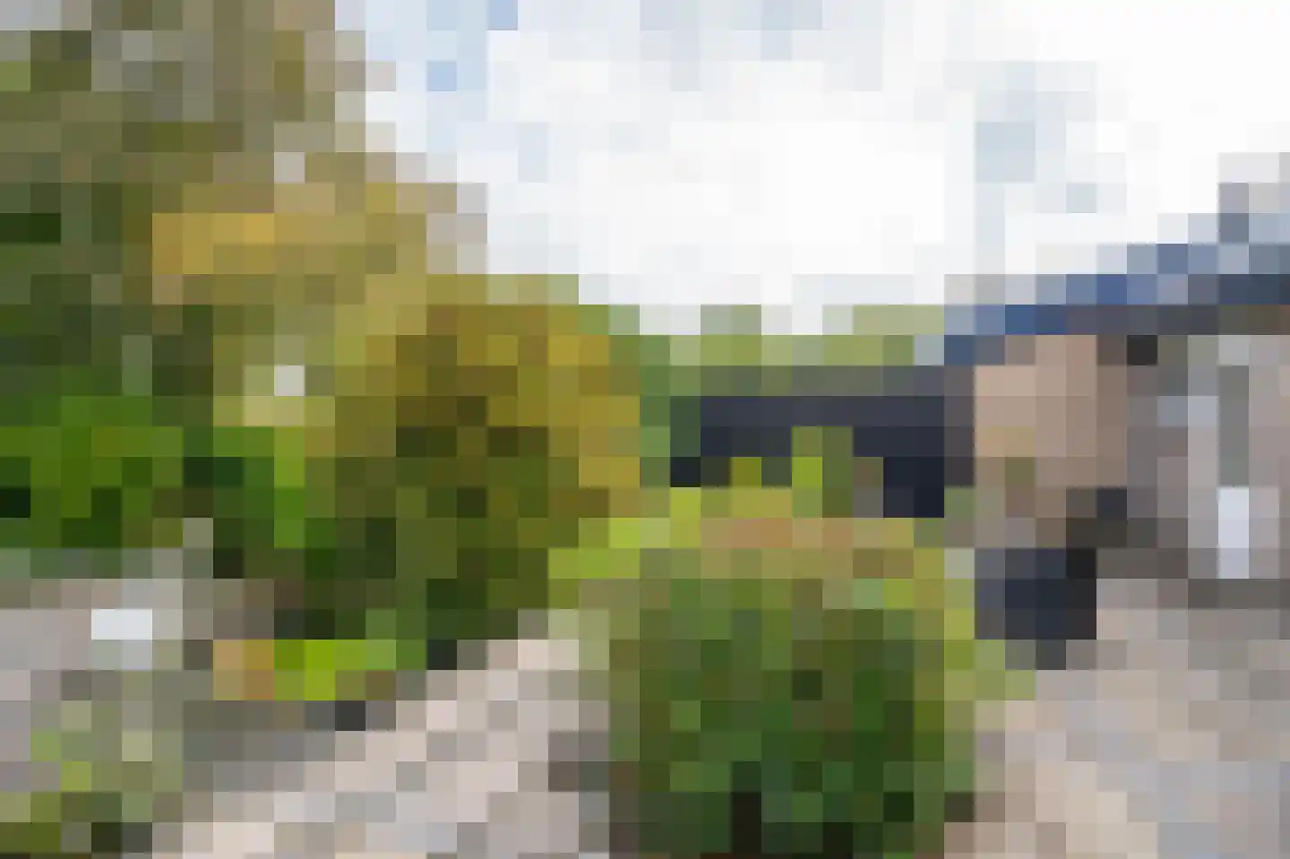 Nolweg 13 C Schelluinen thumbnail 23