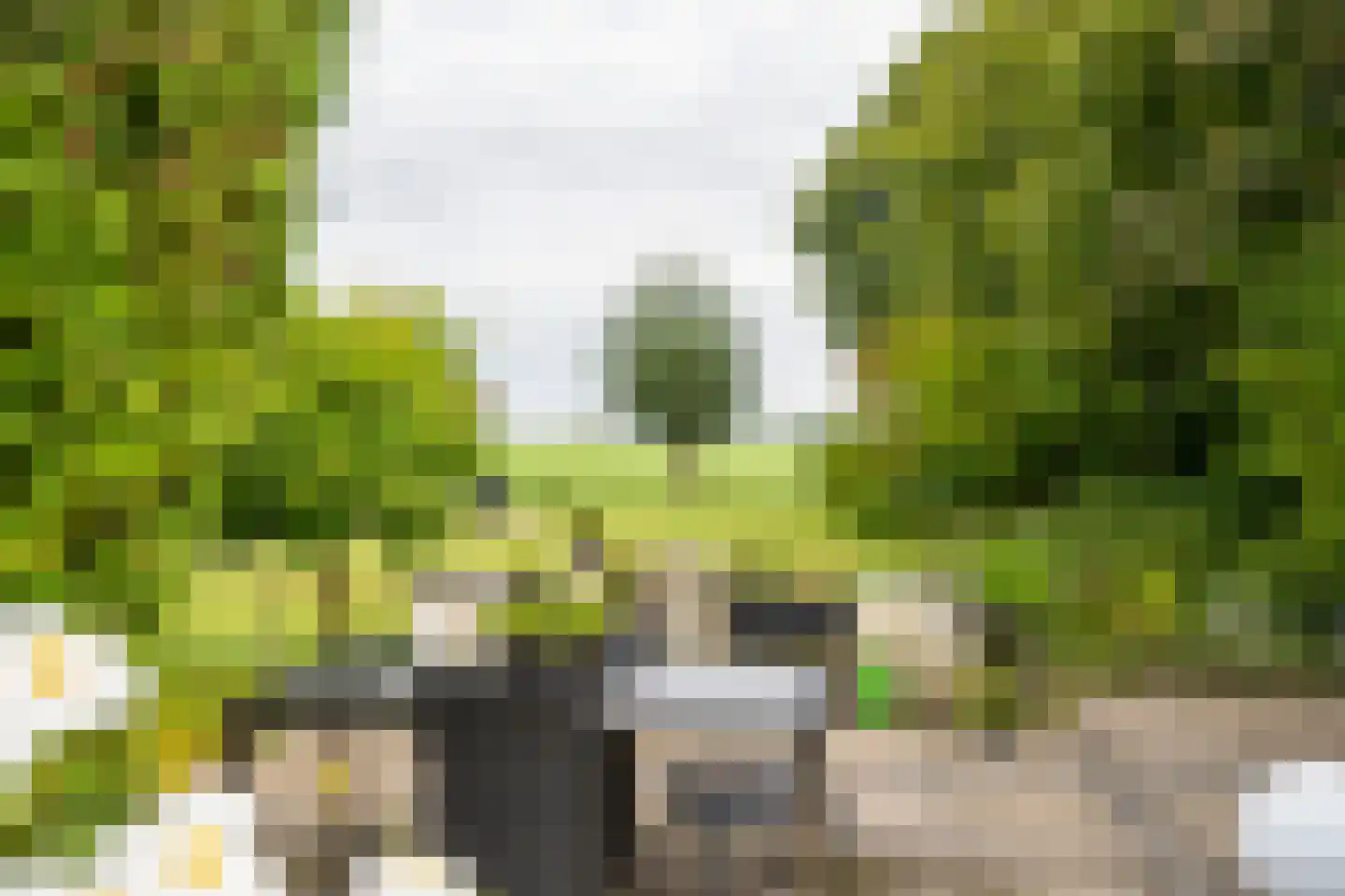 Nolweg 13 C Schelluinen thumbnail 24