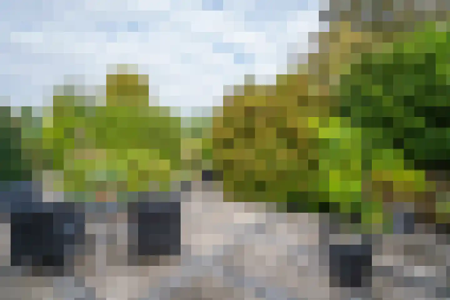 Nolweg 13 C Schelluinen thumbnail 25