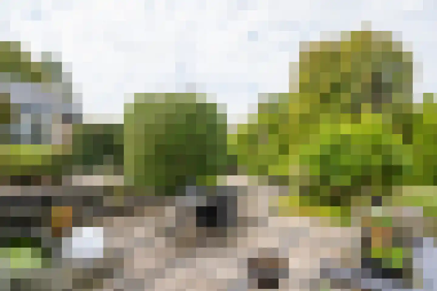 Nolweg 13 C Schelluinen thumbnail 26