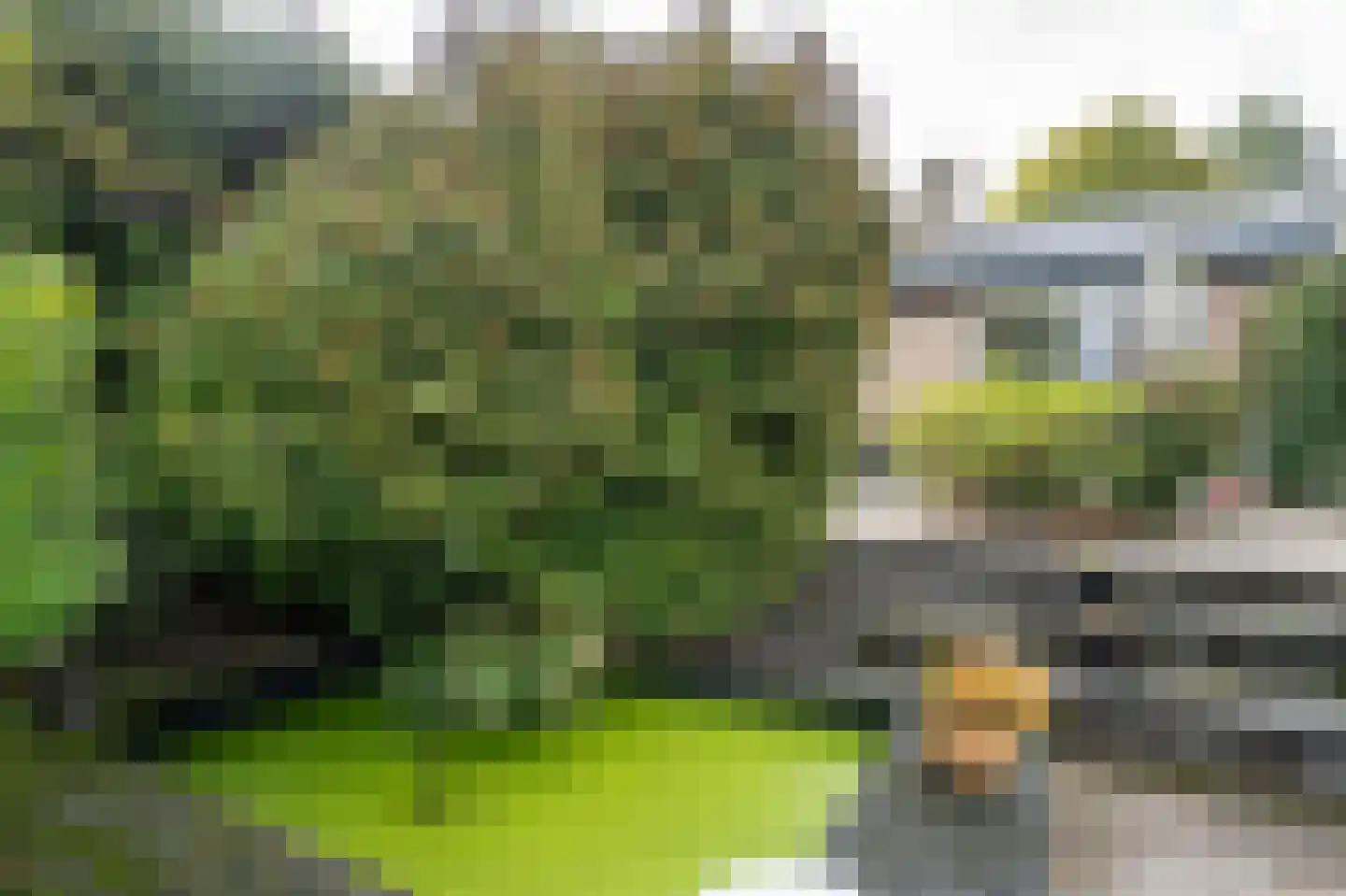 Nolweg 13 C Schelluinen thumbnail 27