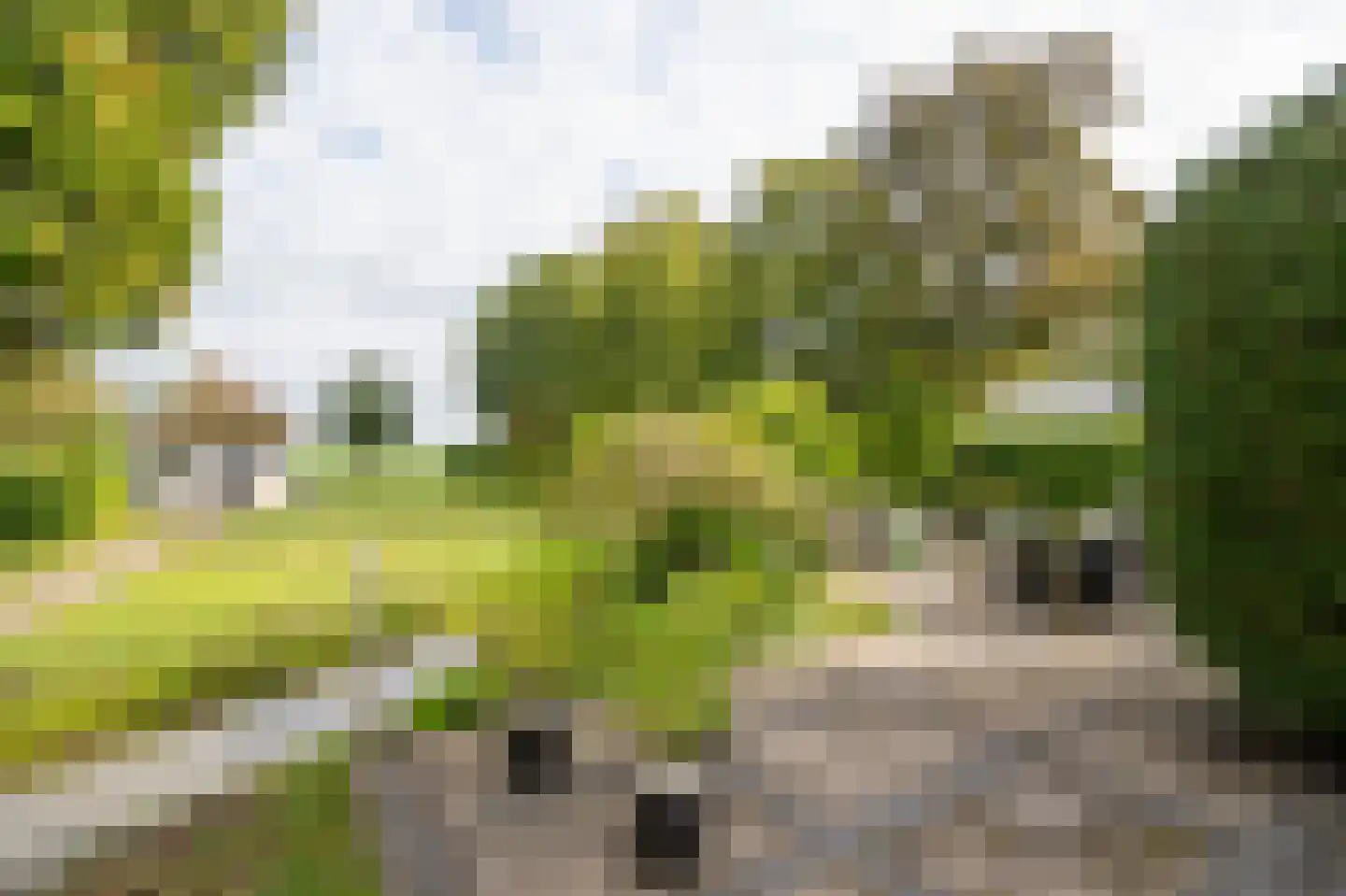 Nolweg 13 C Schelluinen thumbnail 28