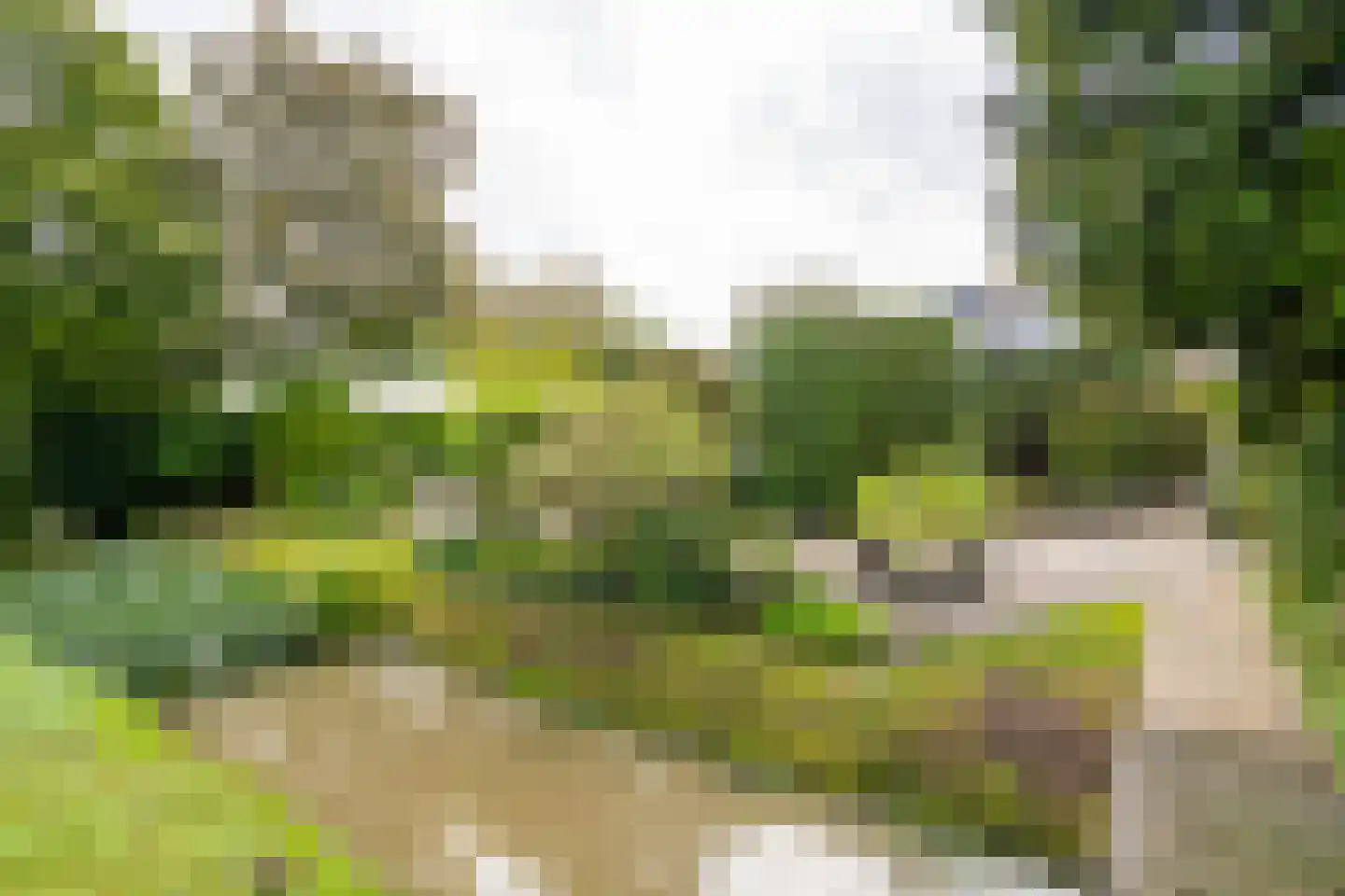 Nolweg 13 C Schelluinen thumbnail 29