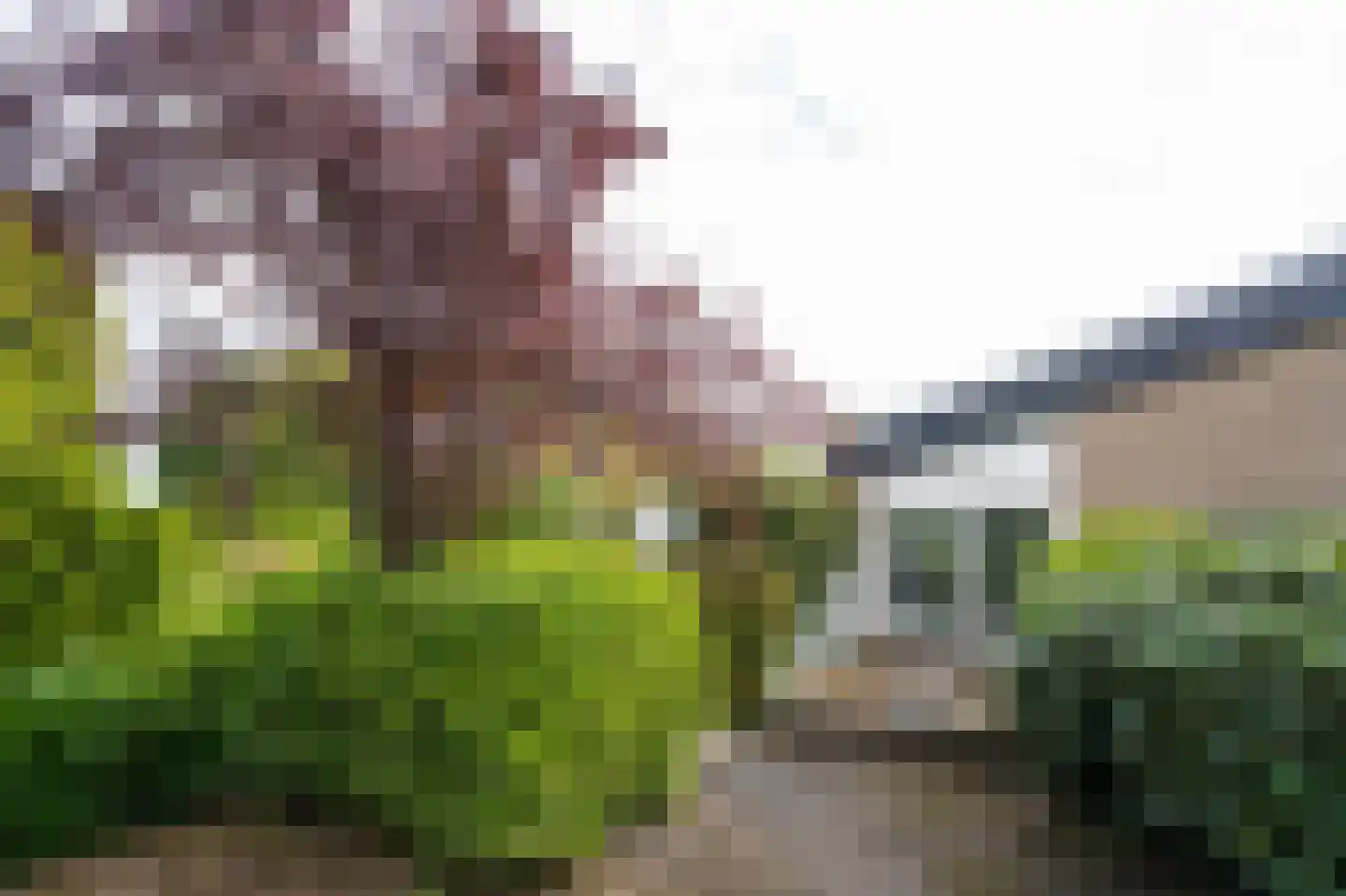Nolweg 13 C Schelluinen thumbnail 42