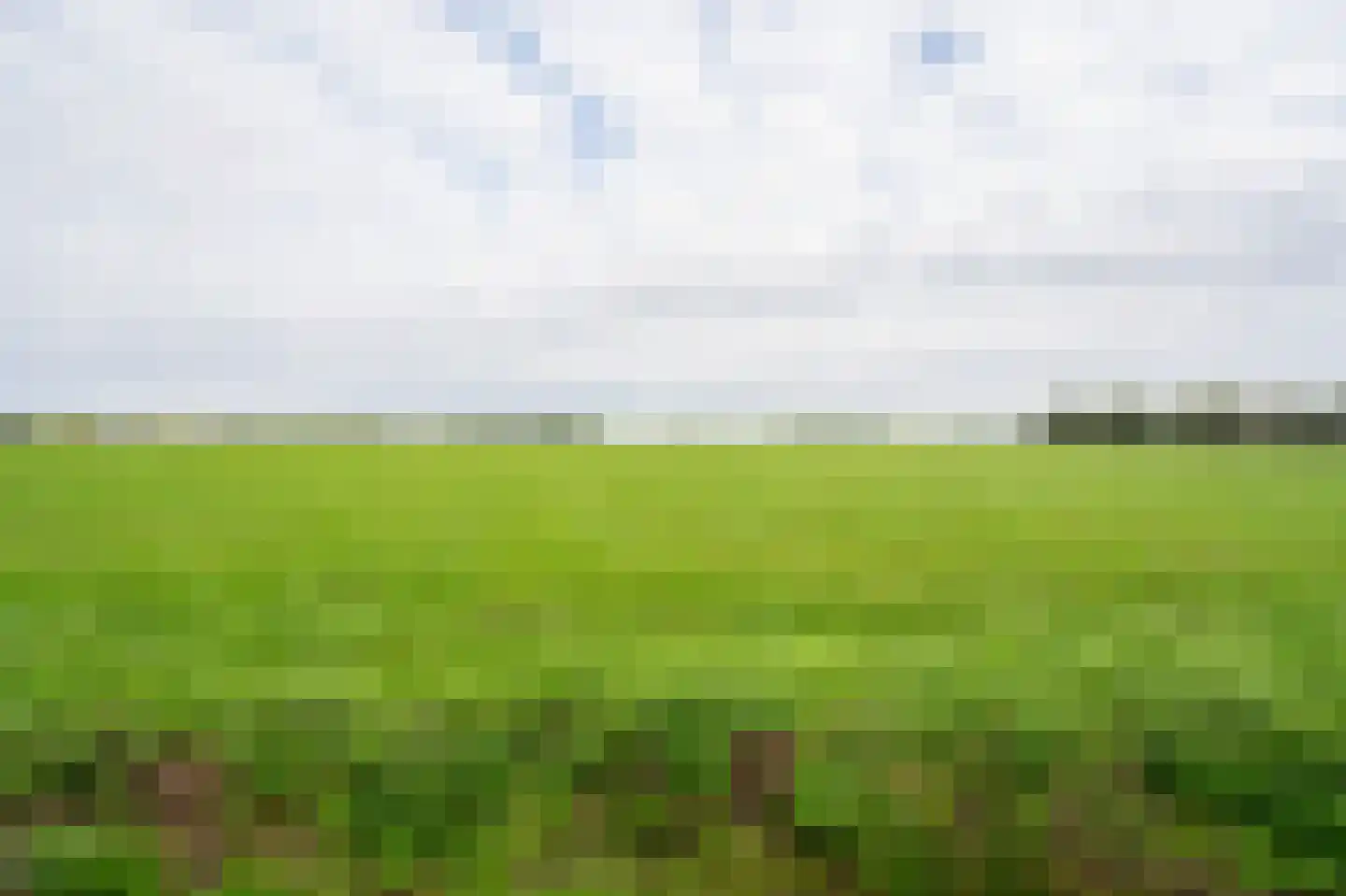 Nolweg 13 C Schelluinen thumbnail 47