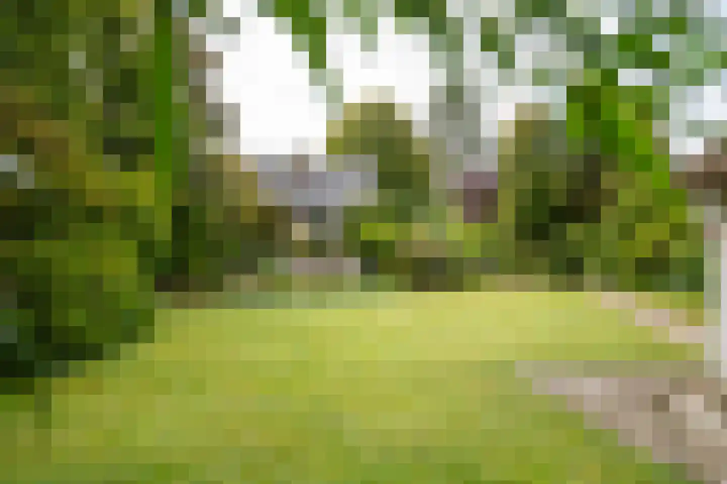 Nolweg 13 C Schelluinen thumbnail 48