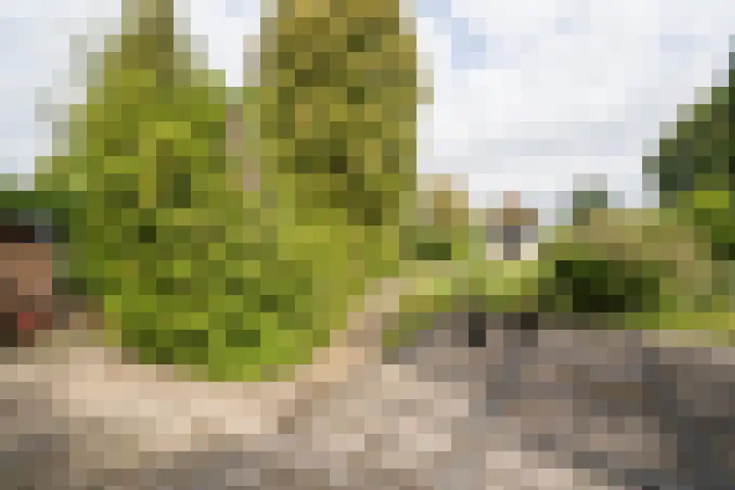 Nolweg 13 C Schelluinen thumbnail 49
