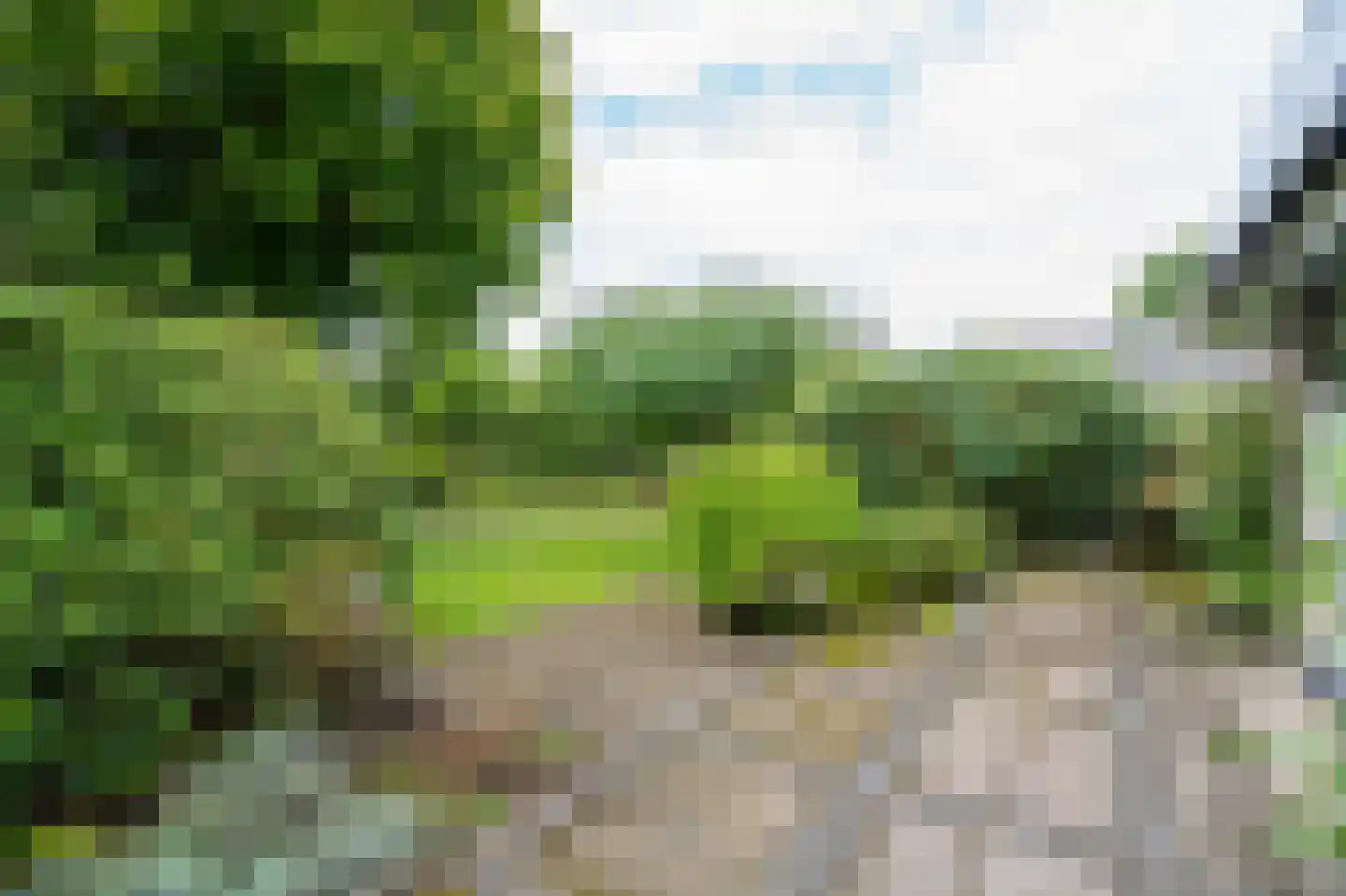 Nolweg 13 C Schelluinen thumbnail 50