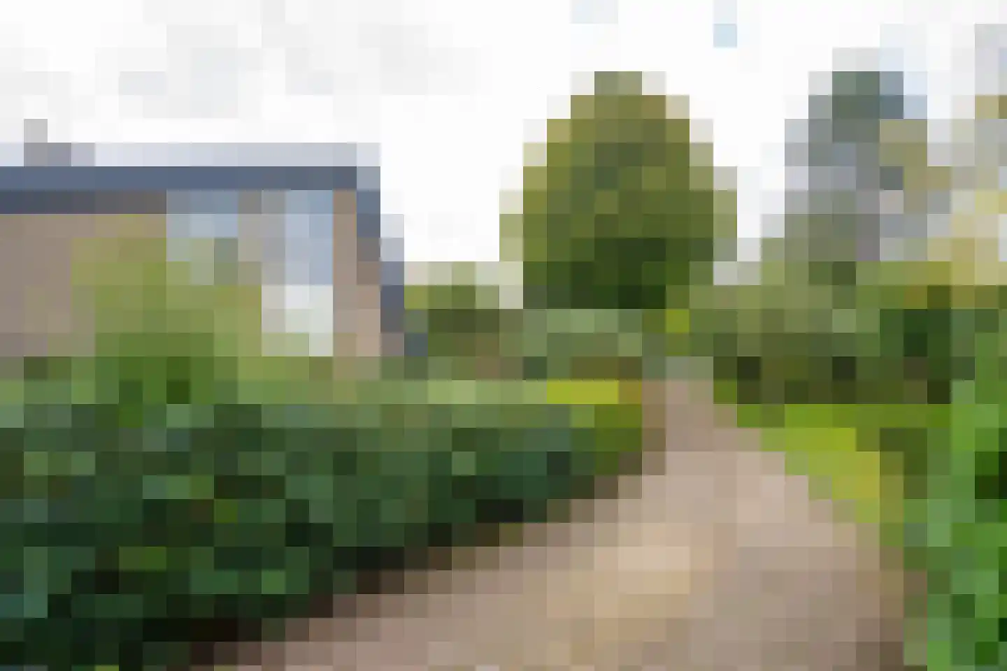 Nolweg 13 C Schelluinen thumbnail 51
