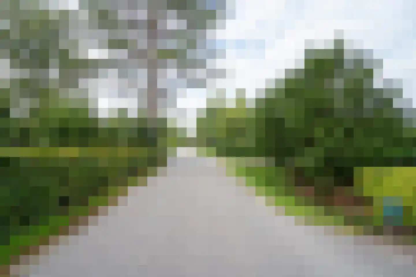 Nolweg 13 C Schelluinen thumbnail 52