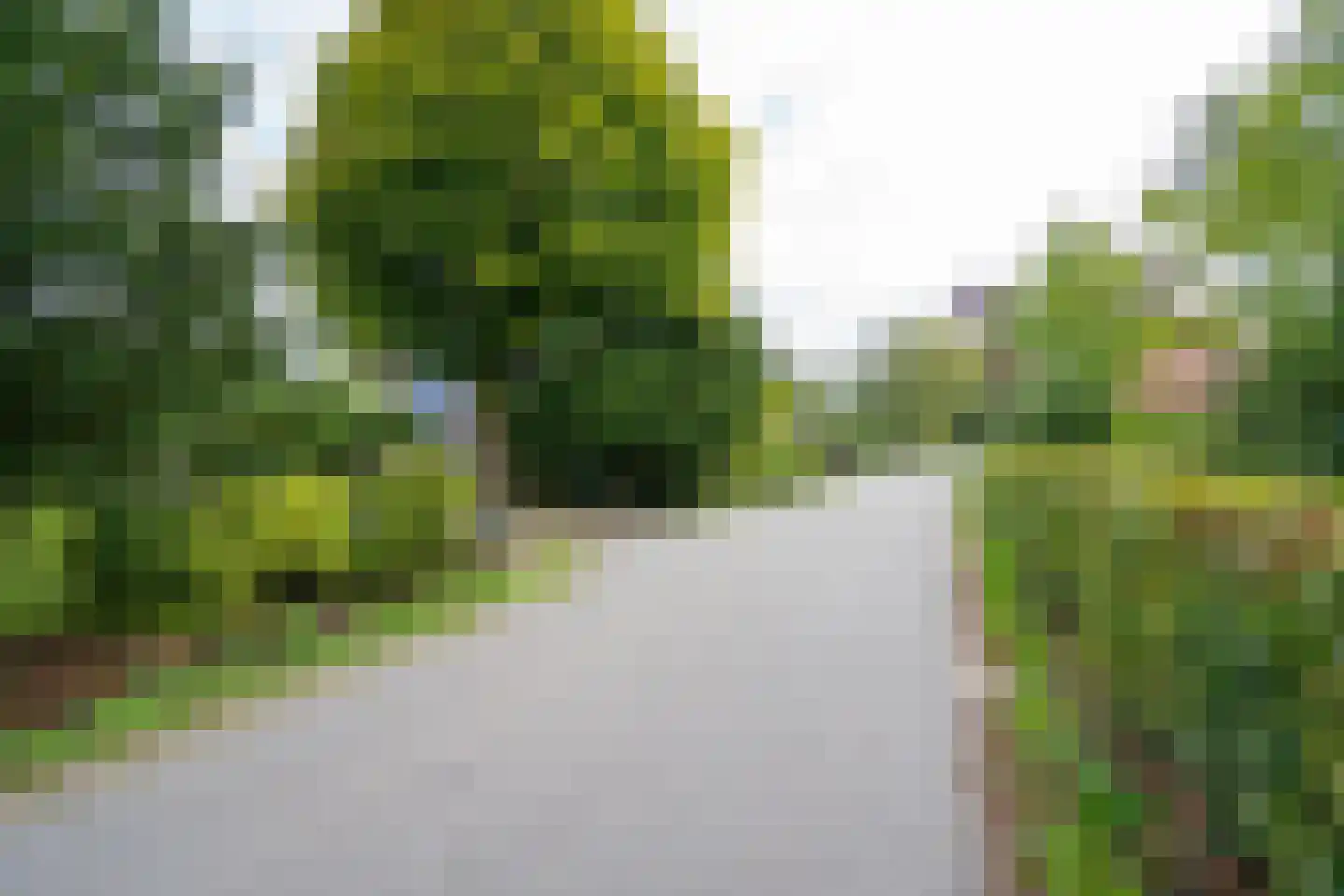Nolweg 13 C Schelluinen thumbnail 53