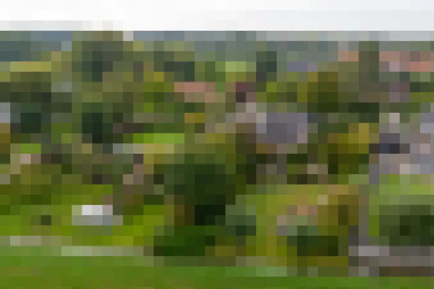 Nolweg 13 C Schelluinen thumbnail 56
