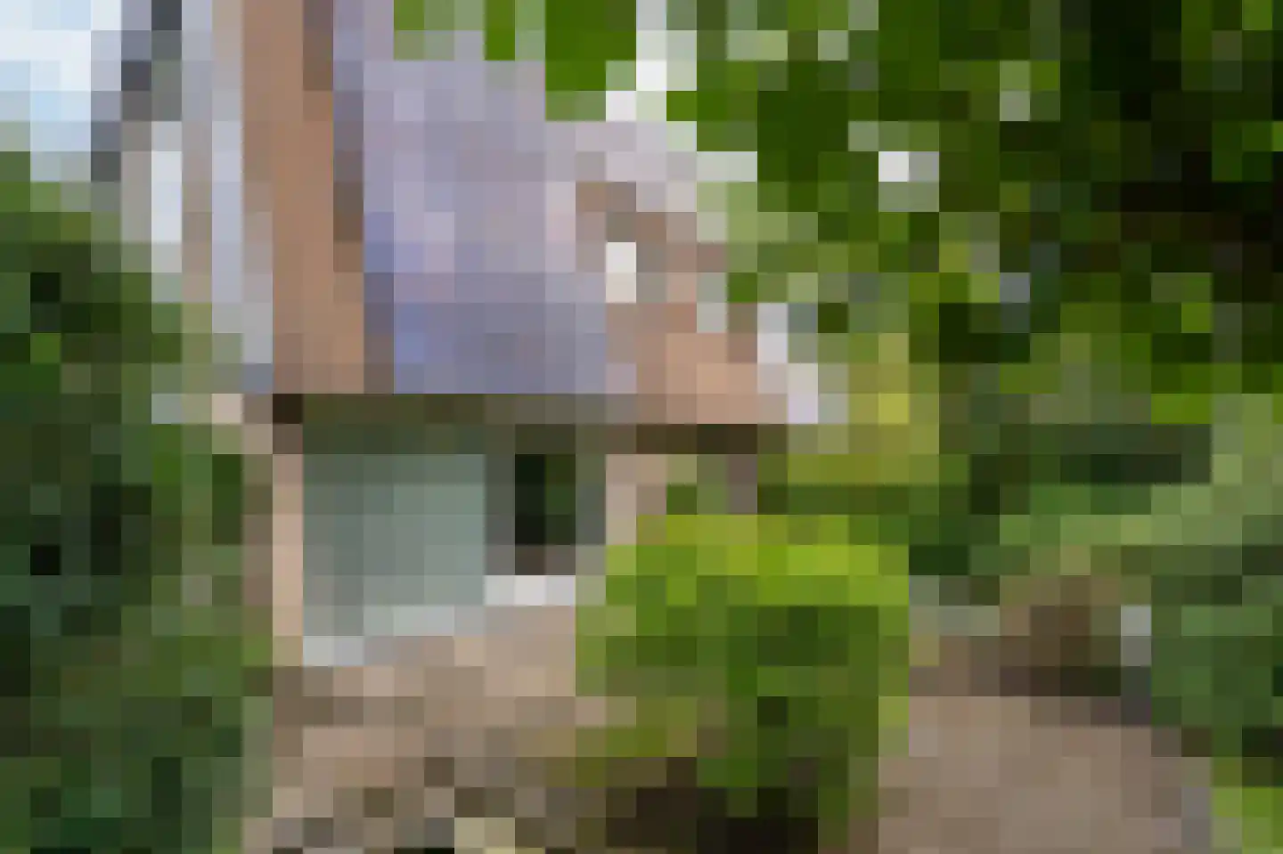 Nolweg 13 C Schelluinen thumbnail 7