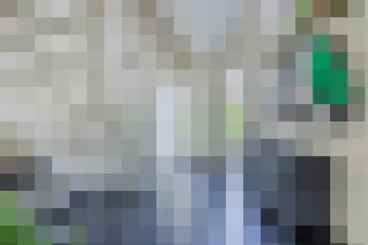 Nolweg 2 D Maasdijk thumbnail 10
