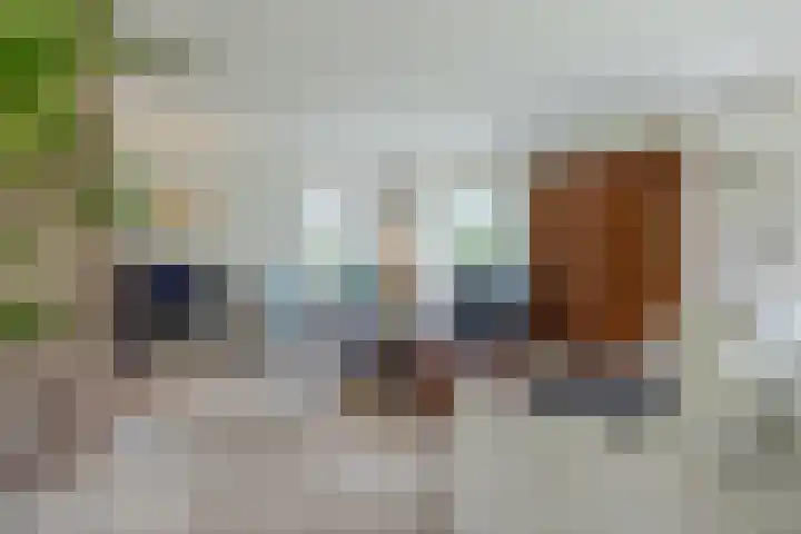 Nolweg 2 D Maasdijk thumbnail 11