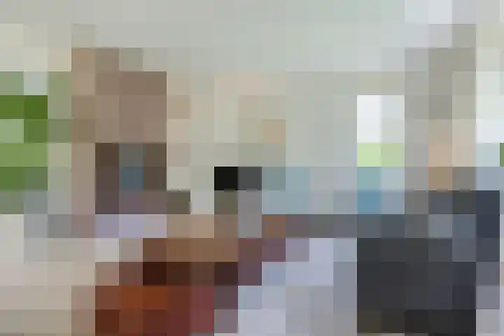 Nolweg 2 D Maasdijk thumbnail 12