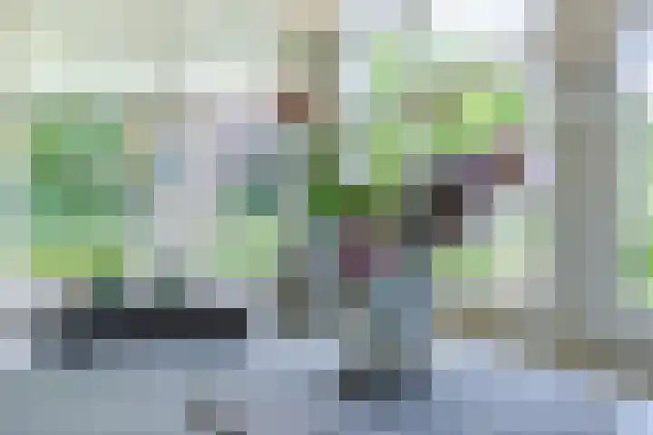 Nolweg 2 D Maasdijk thumbnail 15