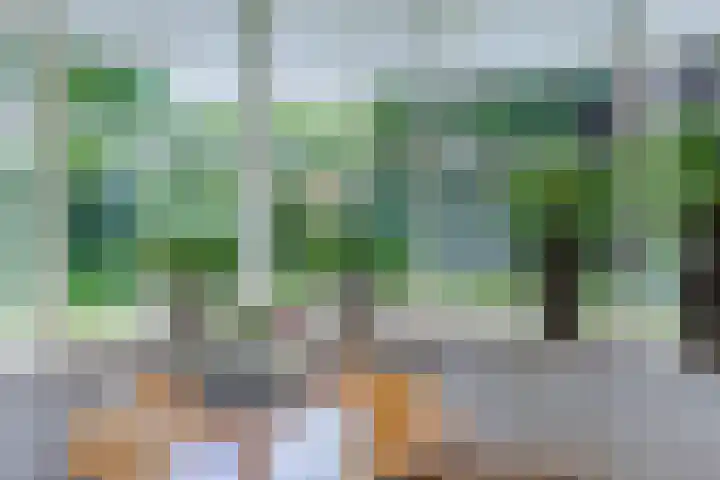 Nolweg 2 D Maasdijk thumbnail 16