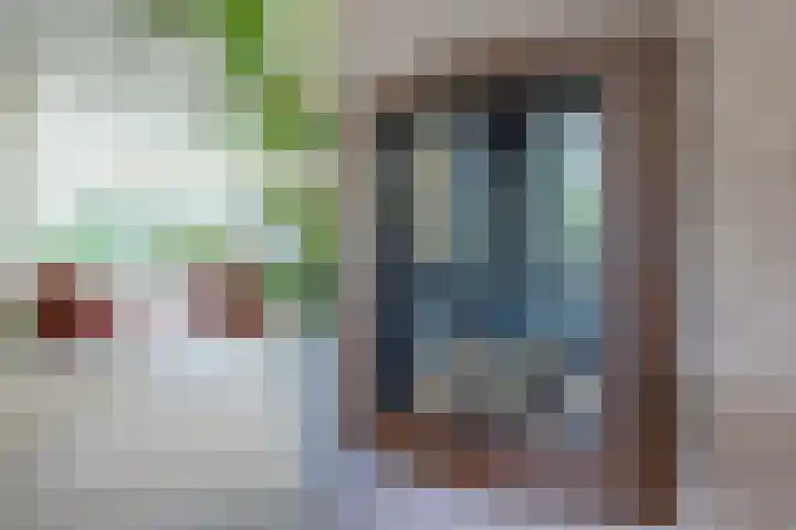 Nolweg 2 D Maasdijk thumbnail 18