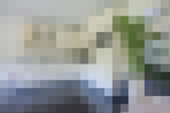 Nolweg 2 D Maasdijk thumbnail 22