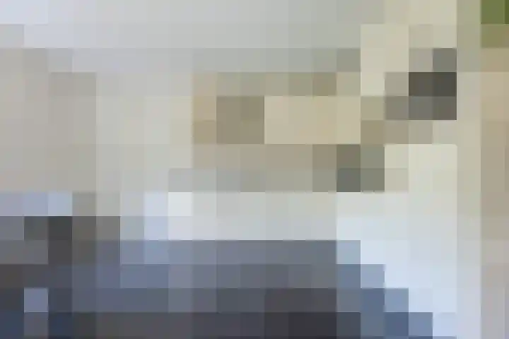 Nolweg 2 D Maasdijk thumbnail 23