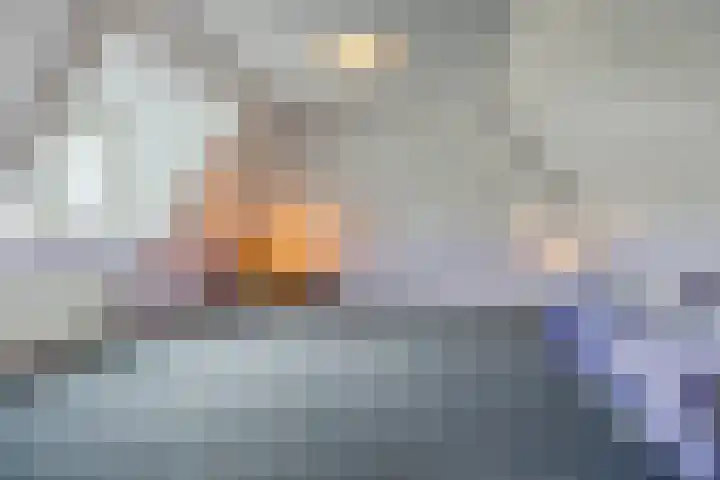 Nolweg 2 D Maasdijk thumbnail 35