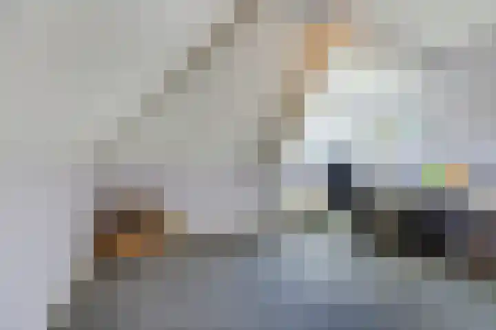 Nolweg 2 D Maasdijk thumbnail 38