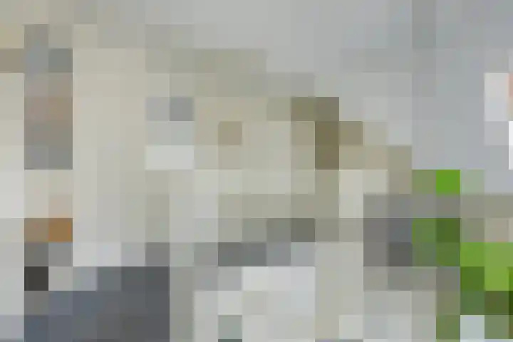 Nolweg 2 D Maasdijk thumbnail 40