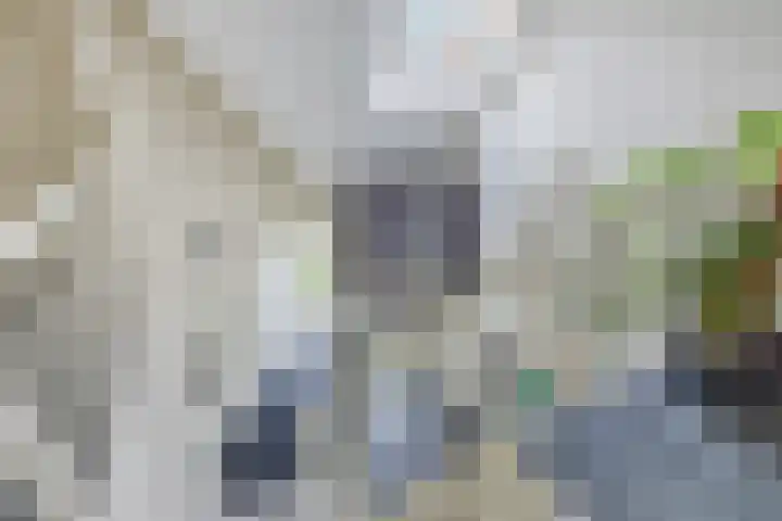Nolweg 2 D Maasdijk thumbnail 41