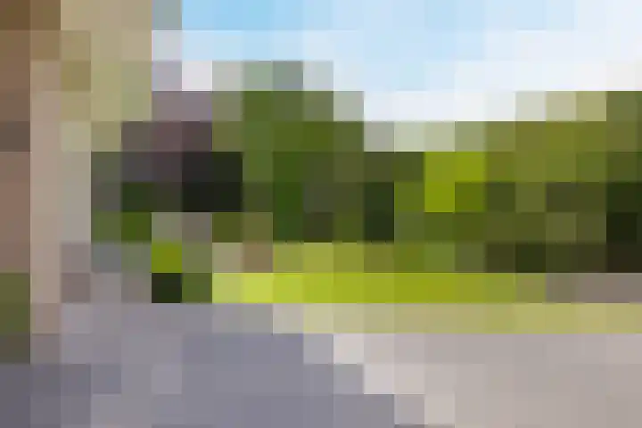 Nolweg 2 D Maasdijk thumbnail 46
