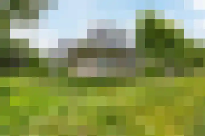 Nolweg 2 D Maasdijk thumbnail 5