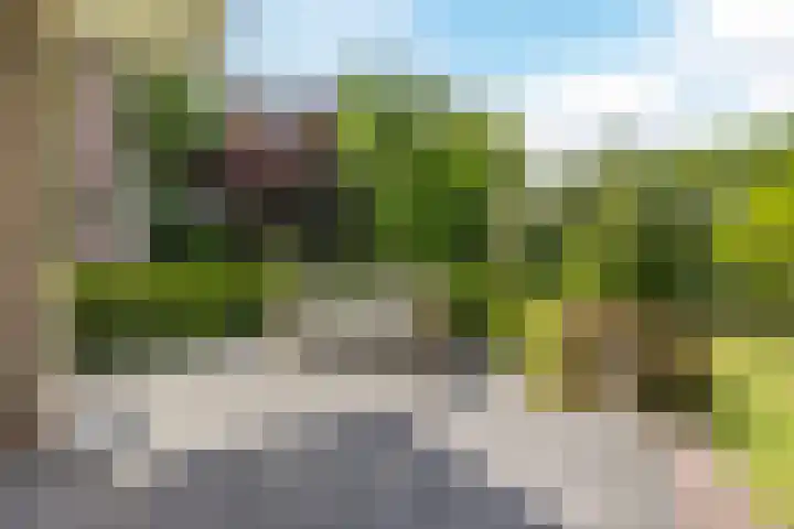 Nolweg 2 D Maasdijk thumbnail 50