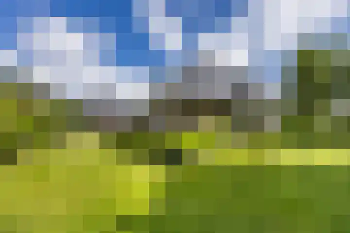 Nolweg 2 D Maasdijk thumbnail 51