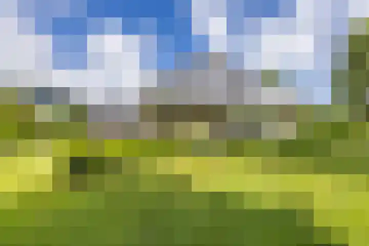 Nolweg 2 D Maasdijk thumbnail 52
