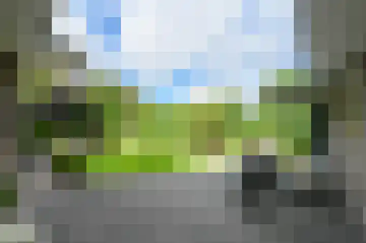 Nolweg 2 D Maasdijk thumbnail 53