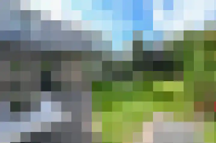 Nolweg 2 D Maasdijk thumbnail 55