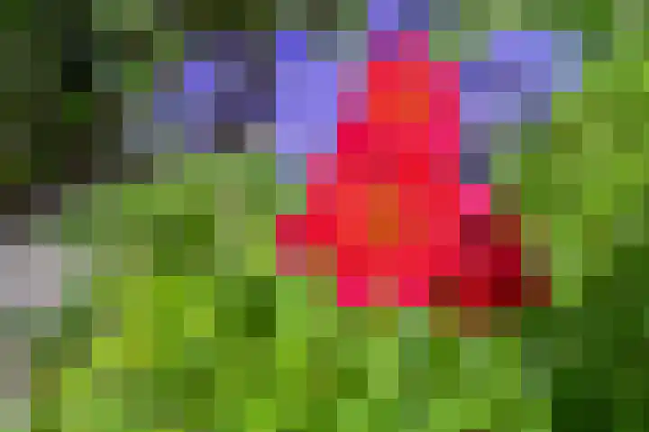 Nolweg 2 D Maasdijk thumbnail 56