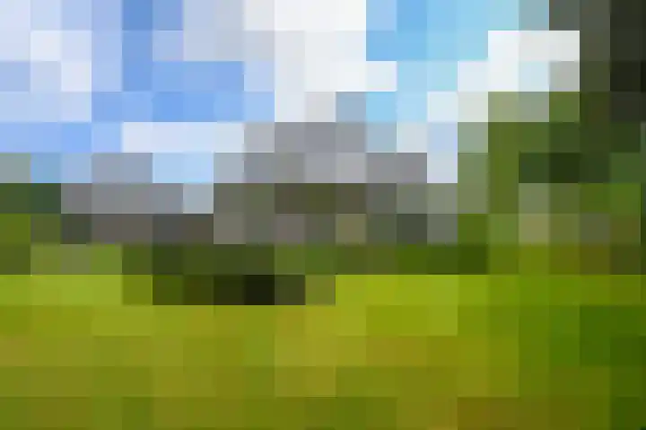 Nolweg 2 D Maasdijk thumbnail 57
