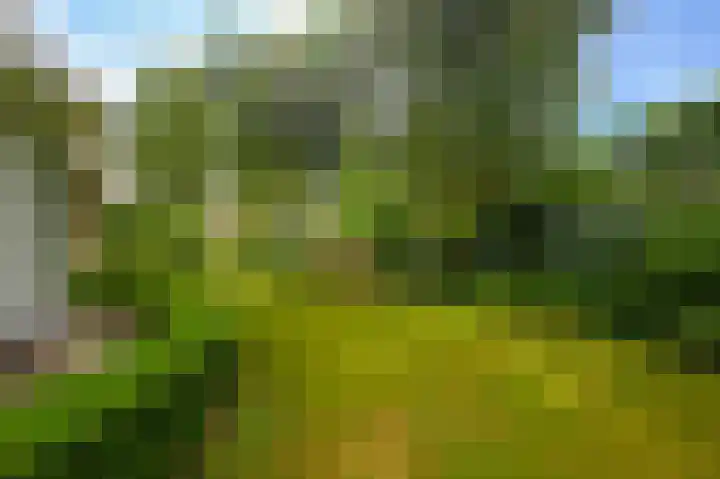 Nolweg 2 D Maasdijk thumbnail 58