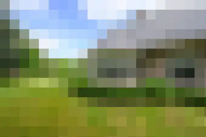 Nolweg 2 D Maasdijk thumbnail 59