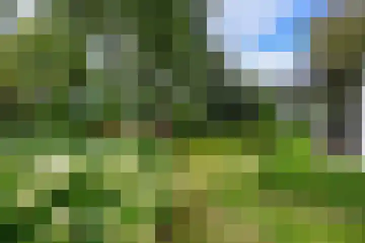 Nolweg 2 D Maasdijk thumbnail 60