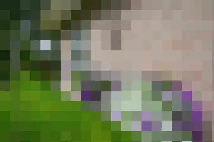 Nolweg 2 D Maasdijk thumbnail 63