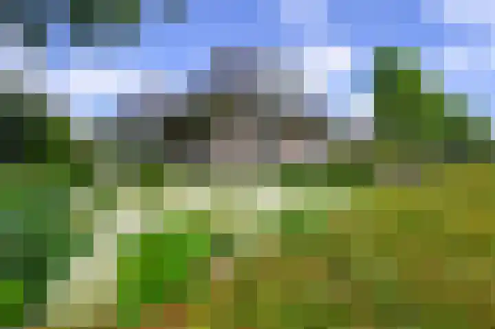 Nolweg 2 D Maasdijk thumbnail 64