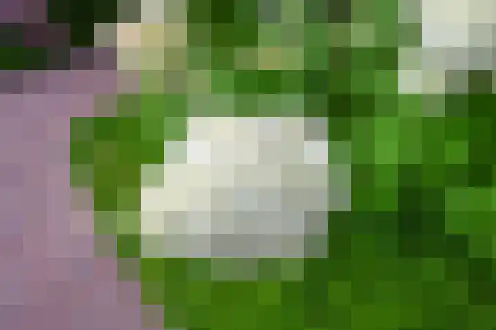 Nolweg 2 D Maasdijk thumbnail 66
